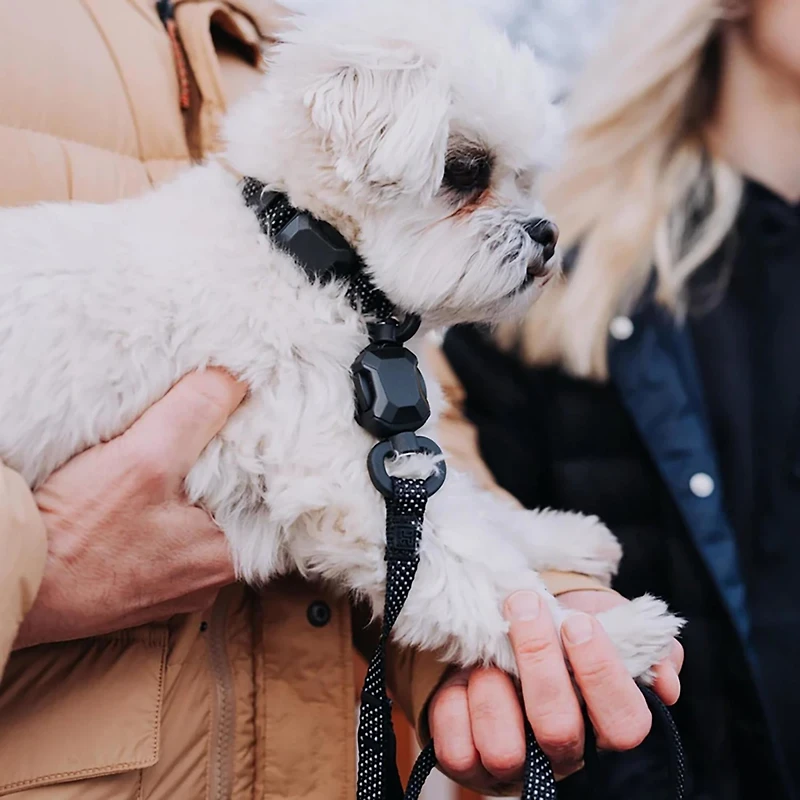 Hooza Quick Clip Reflective Leash