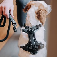 Hooza Quick Clip Control Harness