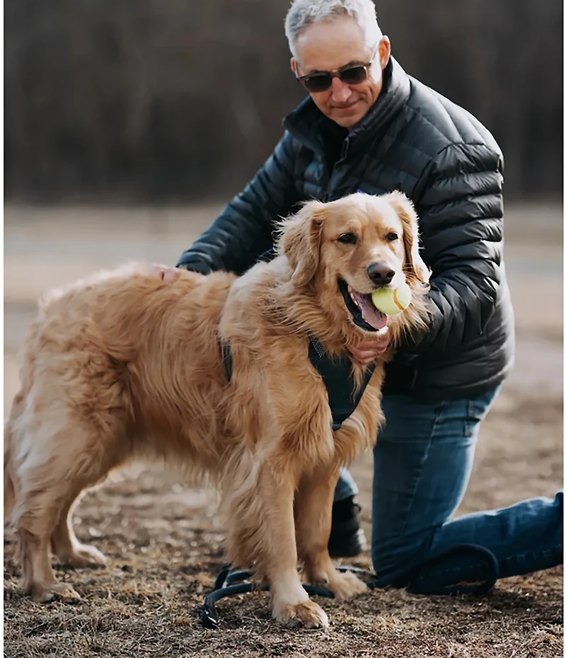 Hooza Quick Clip Control Harness