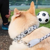 Pro Active Woven Reflective Collar