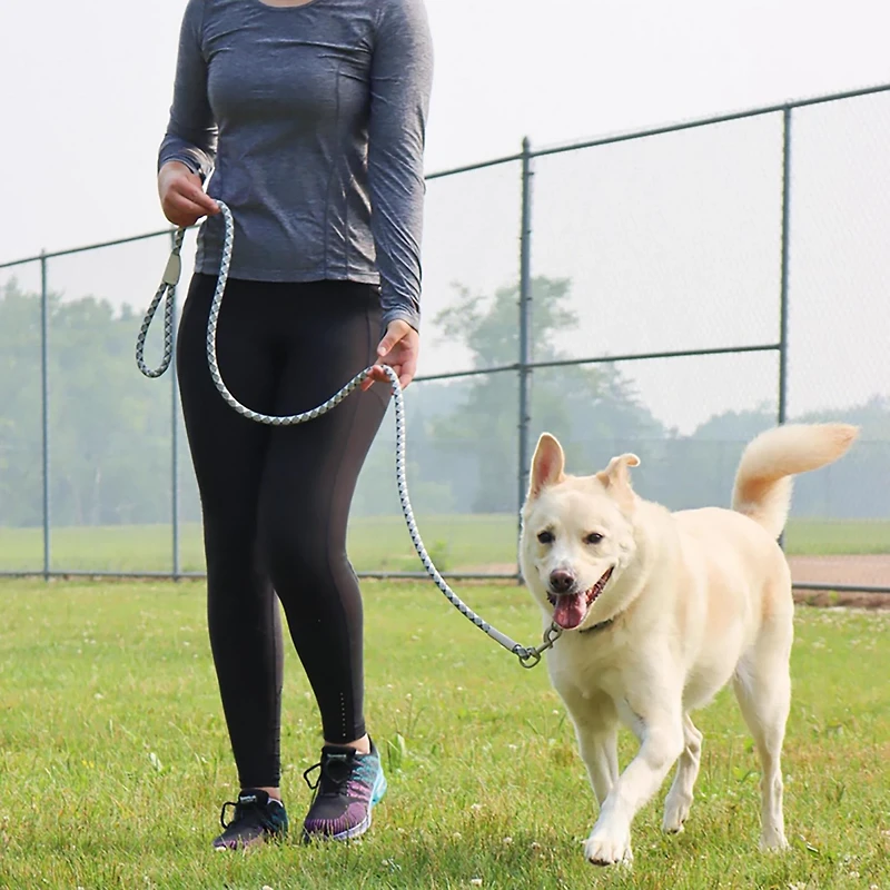 Pro Active Woven Reflective Collar