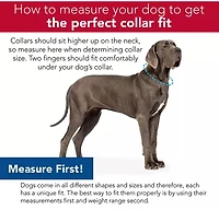 Pro Active Woven Reflective Collar