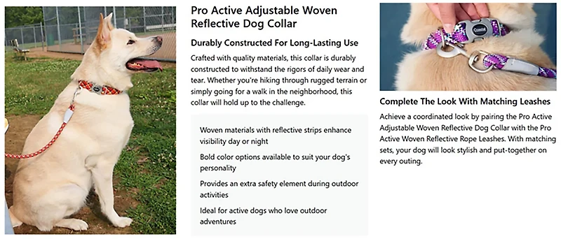 Pro Active Woven Reflective Collar