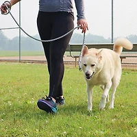 Pro Active Woven Reflective Collar