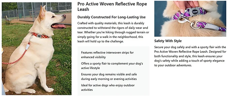 Pro Active Woven Reflective Leash