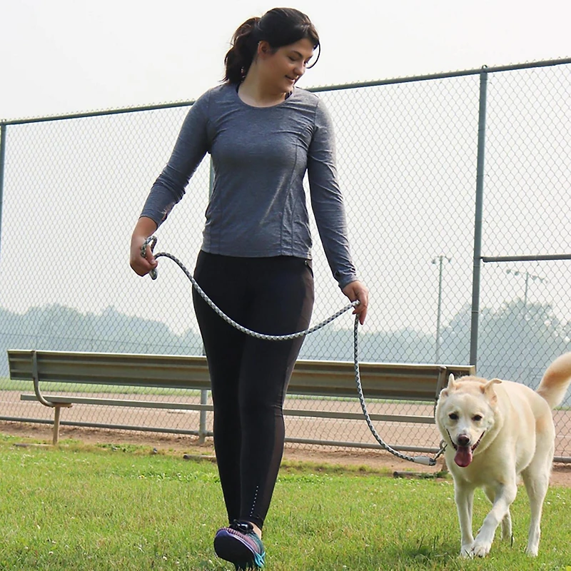 Pro Active Woven Reflective Leash