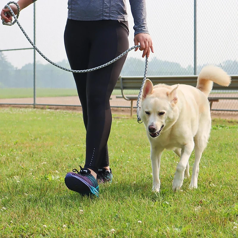 Pro Active Woven Reflective Leash