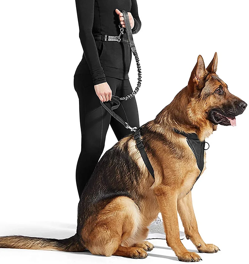 Jespet & Goopaws Hands-Free Bungee Dog Leash