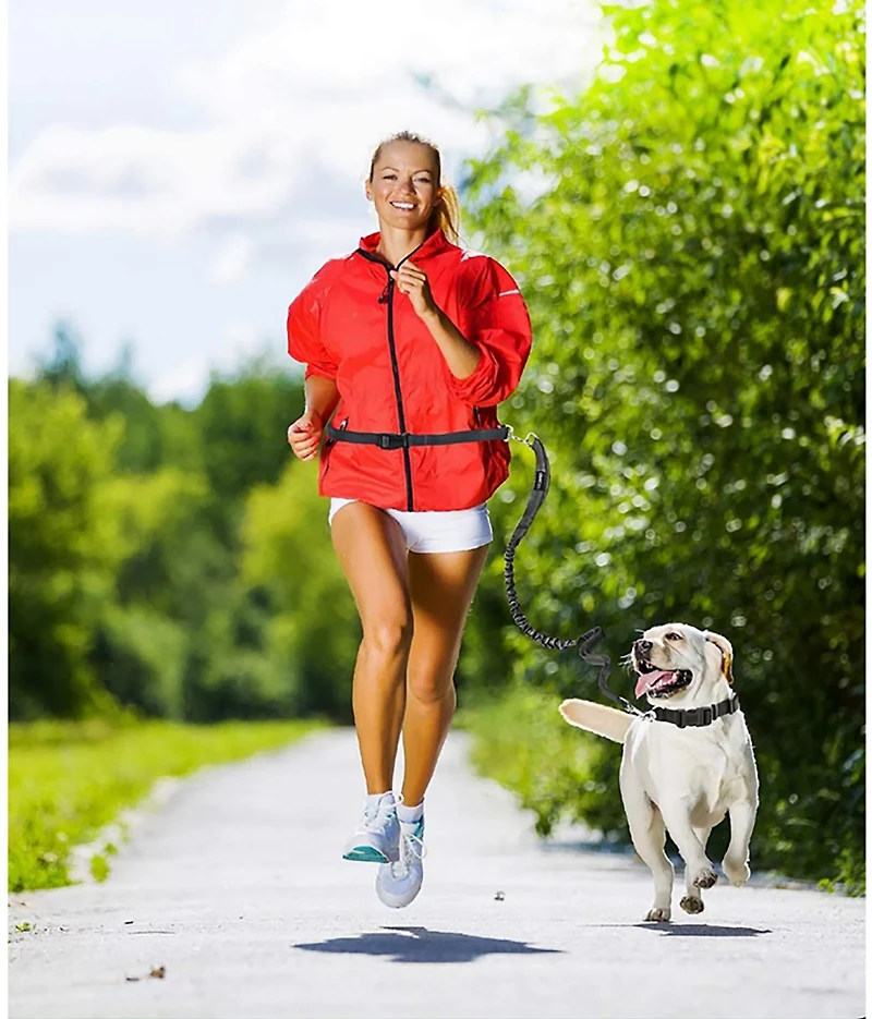 Jespet & Goopaws Hands-Free Bungee Dog Leash