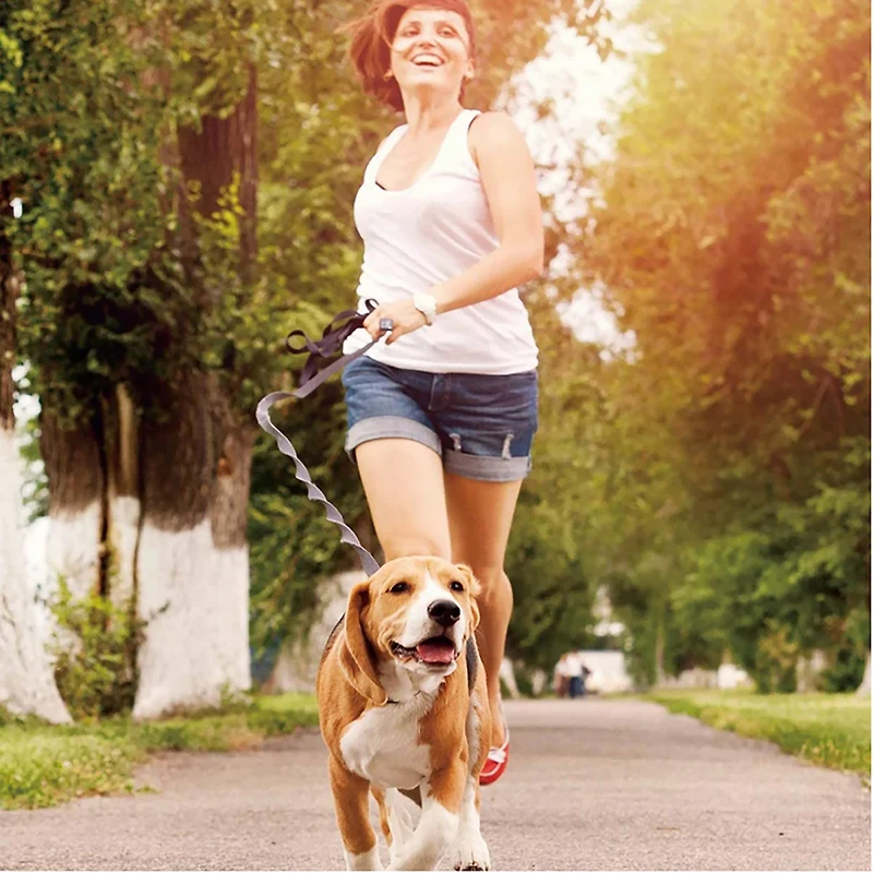 Jespet & Goopaws Hands-Free Bungee Dog Leash