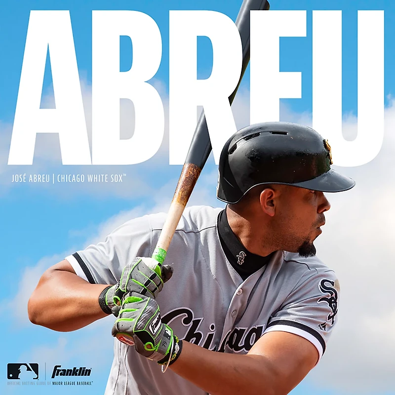 Franklin Youth Shok-Sorb Neo Series Batting Gloves