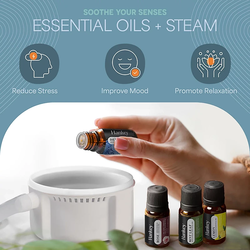 Lifepro Revivify Deluxe Portable Steam Room