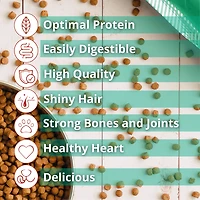 The Green Dog Super Premium Adult Regular Bite 33 lb Dog Food Bag