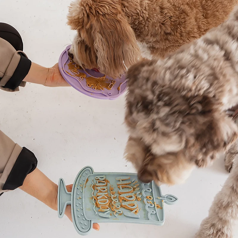 Dexypaws Seafoam Bark Day Bash Enrichment Lick Mat