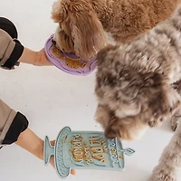 Dexypaws Seafoam Bark Day Bash Enrichment Lick Mat