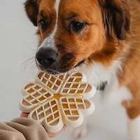 Dexypaws Hide & Seek Slow Feeder