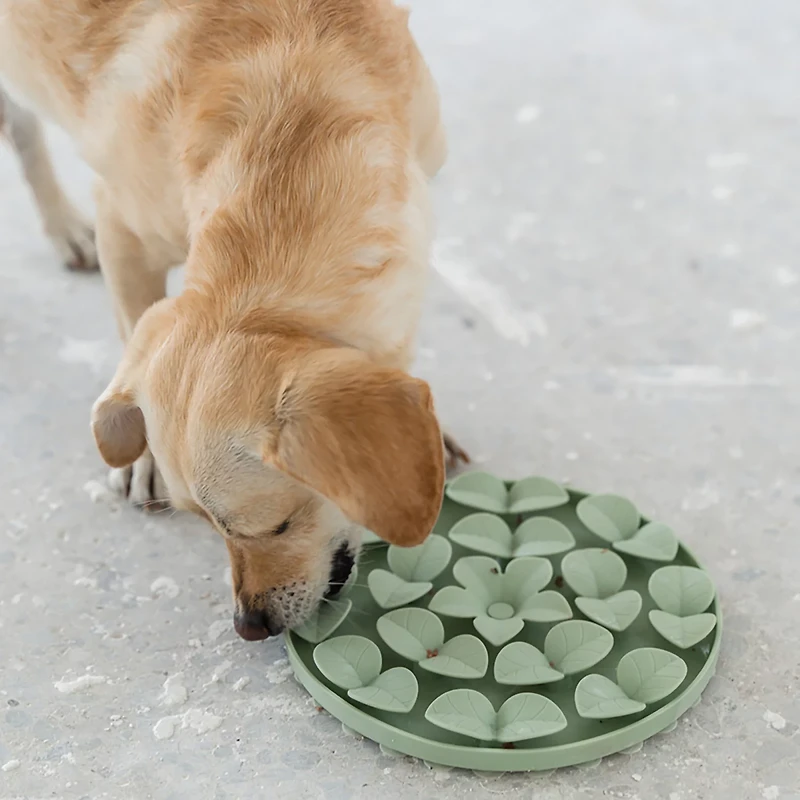 Dexypaws Circle Enrichment Snuffle Mat