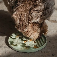 Dexypaws Hide & Seek Slow Feeder