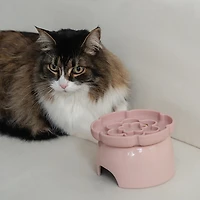 Dexypaws Flower Elevated Slow Feeder