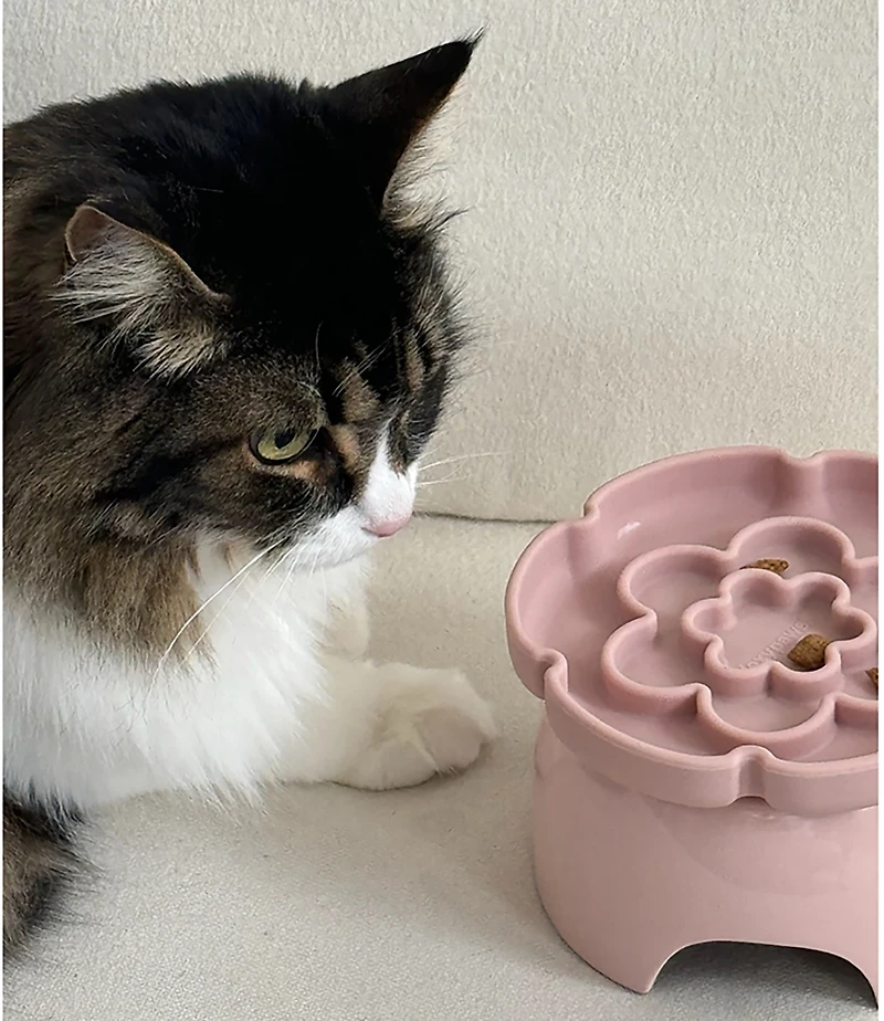 Dexypaws Flower Elevated Slow Feeder