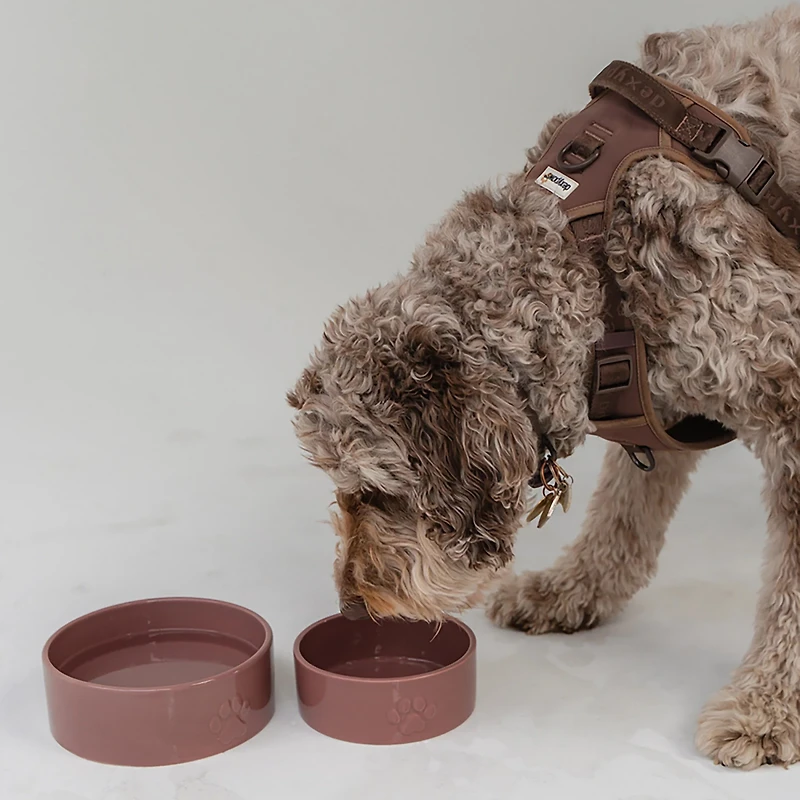 Dexypaws 26 oz Dog Bowl