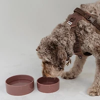 Dexypaws 26 oz Dog Bowl