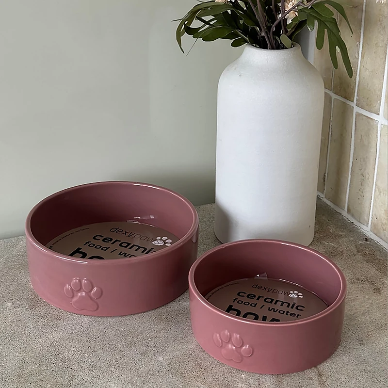 Dexypaws 26 oz Dog Bowl