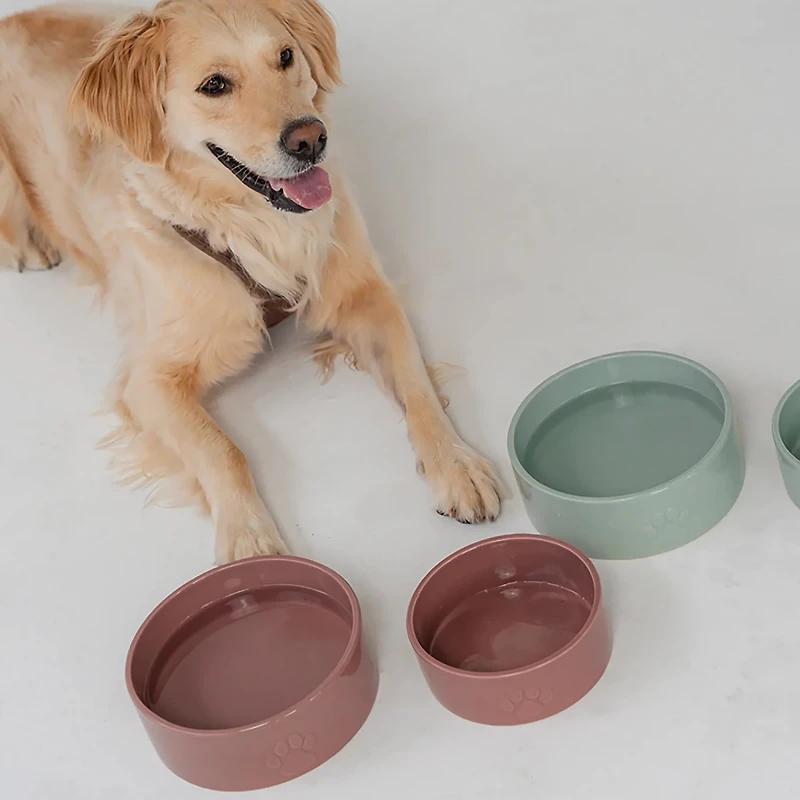 Dexypaws 26 oz Dog Bowl