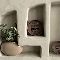 Dexypaws 26 oz Dog Bowl