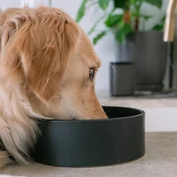Dexypaws 50 oz Dog Bowl
