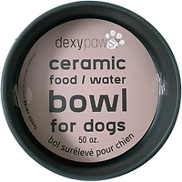 Dexypaws 50 oz Dog Bowl