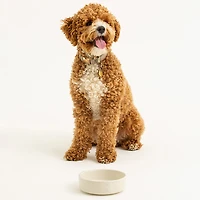 Mason Cash Embossed Bone Dog Bowl
