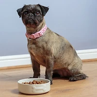 Mason Cash Embossed Bone Dog Bowl