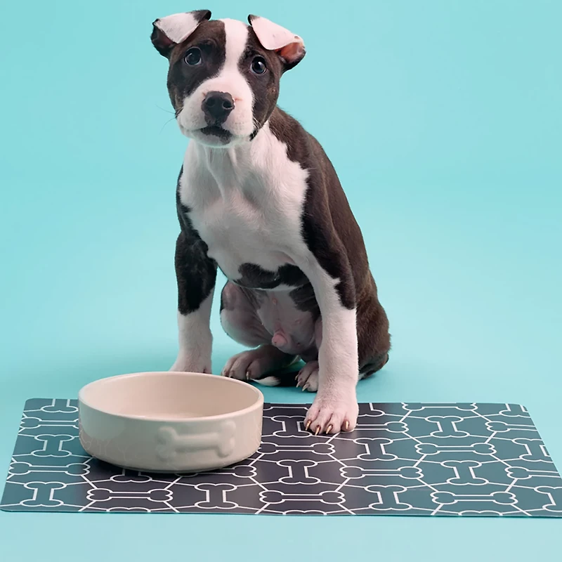 Mason Cash Embossed Bone Dog Bowl