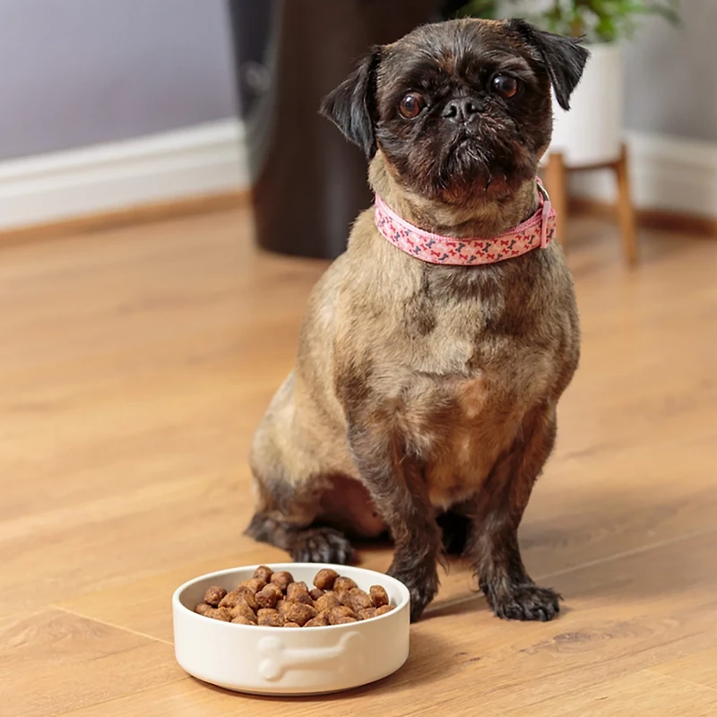 Mason Cash Embossed Bone Dog Bowl