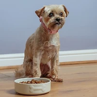 Mason Cash Embossed Bone Dog Bowl