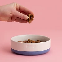 Mason Cash Speckle Dip Dog Bowl