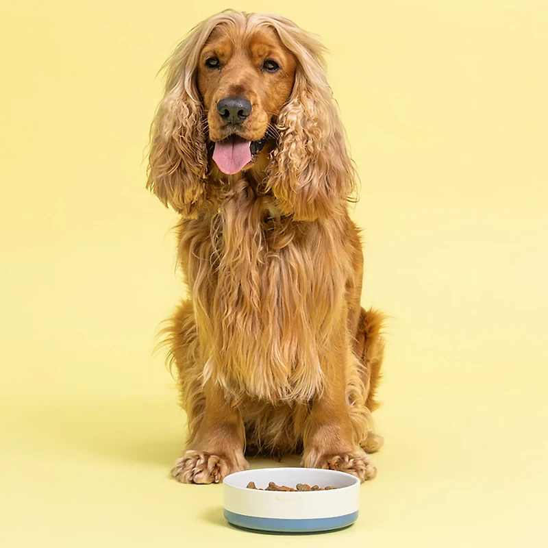 Mason Cash Speckle Dip Dog Bowl