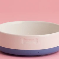 Mason Cash Speckle Dip Dog Bowl