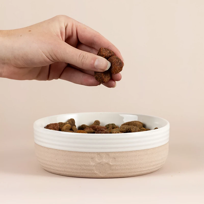 Mason Cash Heart Paw Dog Bowl