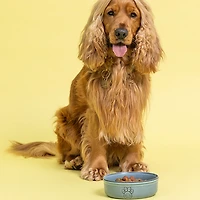 Mason Cash Reactive Paw Dog Bowl