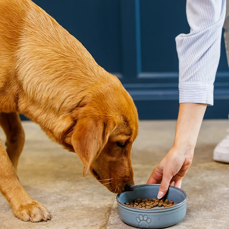 Mason Cash Reactive Paw Dog Bowl