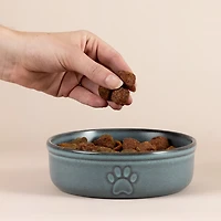 Mason Cash Reactive Paw Dog Bowl