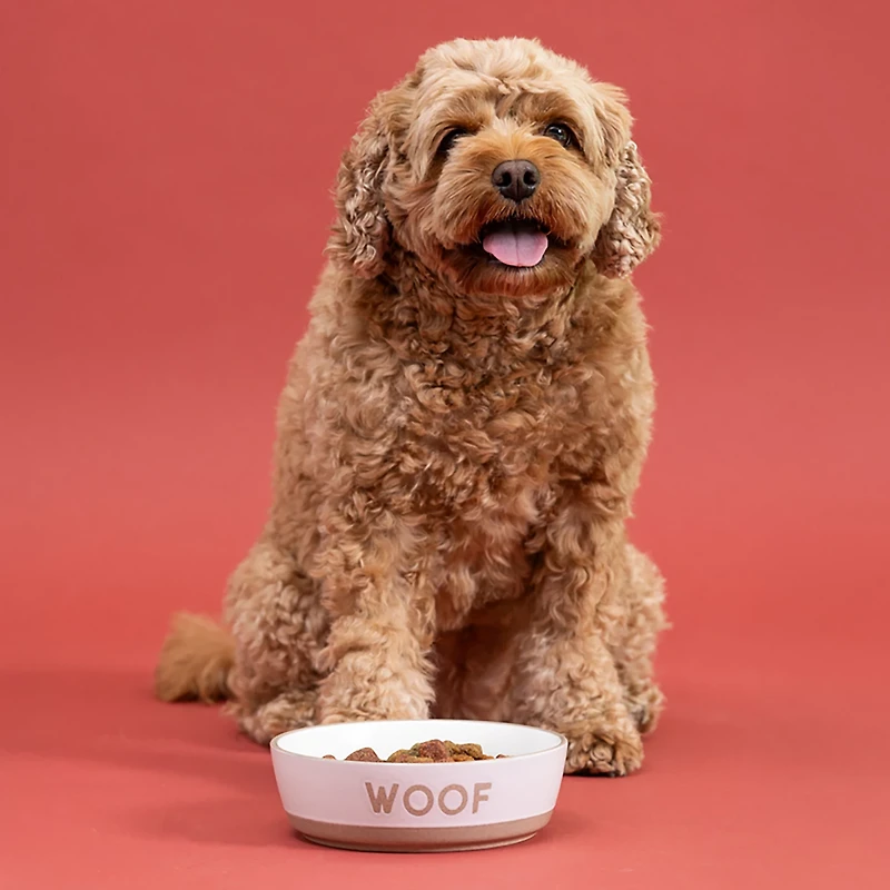 Mason Cash Woof Dog Bowl