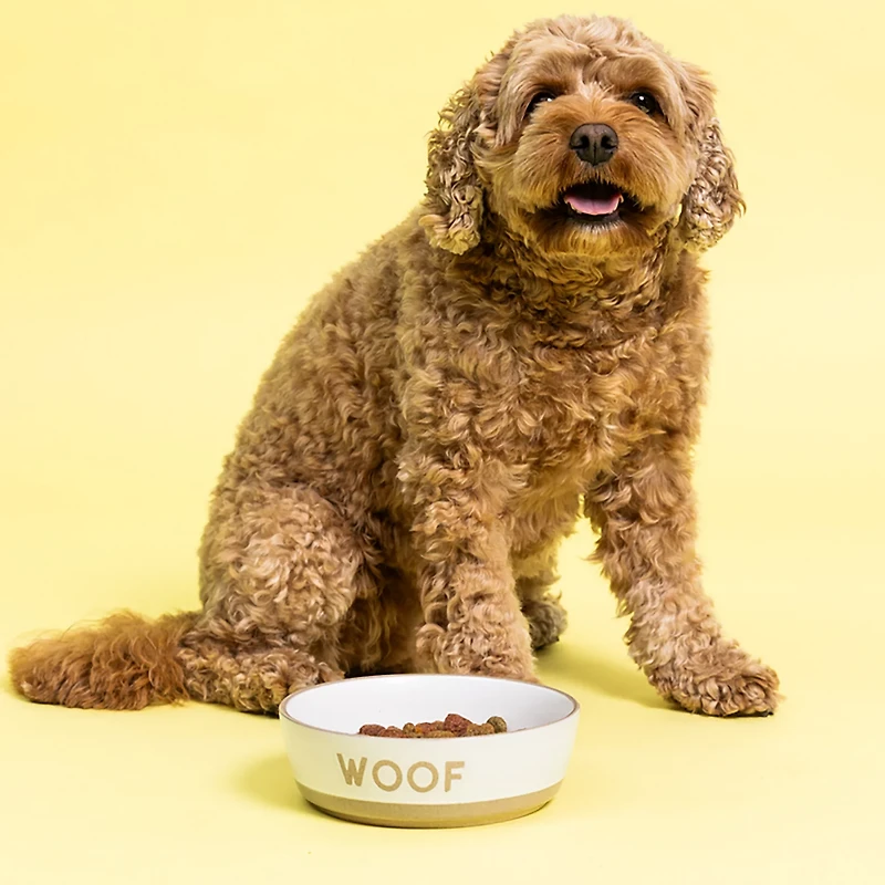 Mason Cash Woof Dog Bowl