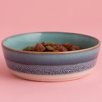 Mason Cash Reactive Fade Dog Bowl