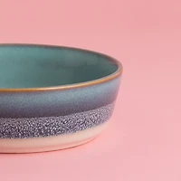 Mason Cash Reactive Fade Dog Bowl