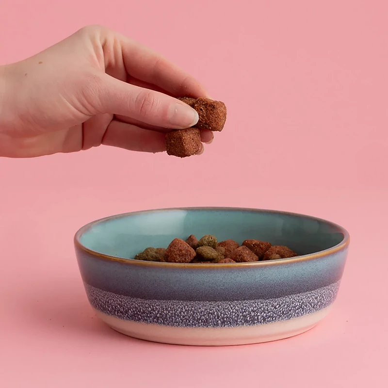 Mason Cash Reactive Fade Dog Bowl