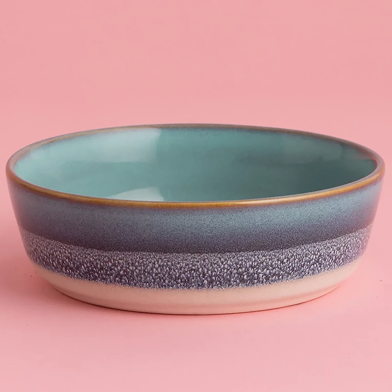 Mason Cash Reactive Fade Dog Bowl