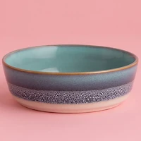 Mason Cash Reactive Fade Dog Bowl